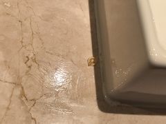 -杭州千岛湖滨江希尔顿度假酒店