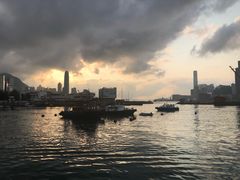 -澳洲牛奶公司(佐敦店)