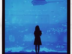 -南昌融创海世界