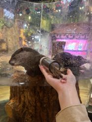 -Zoolung Zoolung动物主题公园(海信广场店)