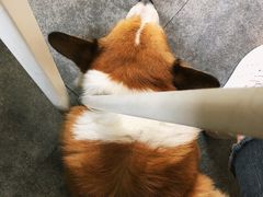 阿布-22cafe