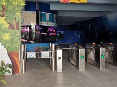 -泉州海丝野生动物世界