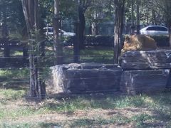 -秦皇岛野生动物园