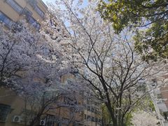 -浙江大学(玉泉校区)