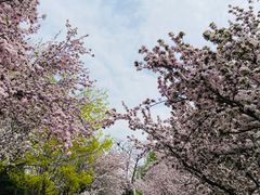 -元大都城垣遗址公园