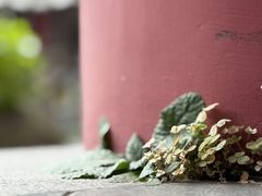 -龙湖东院农庄(乡间小路店)