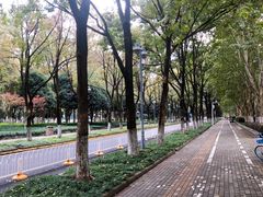 -后襄河公园