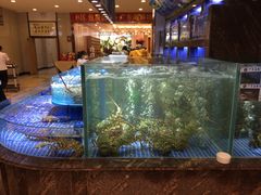 -广东海鲜坊(世纪海伦店)