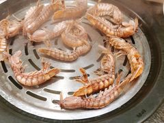 虾爬子-苏大嘴海鲜牧场(奥林匹克店)