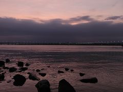 -宝安西湾红树林湿地公园