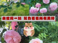 -南通洲际绿博园