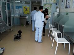 -瑞派·关忠动物医院·猫专科·犬专科(三环新城店)