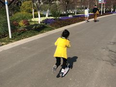 -青枫公园