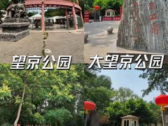 -大望京公园