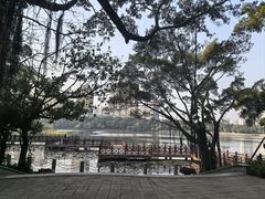 -南宁南湖公园