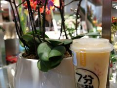 -7分甜(上海新天地广场店)