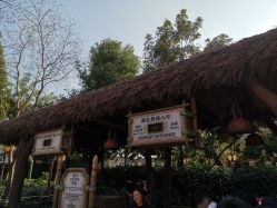 -翱翔飞越地平线