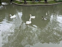 -上海交通大学(闵行校区)