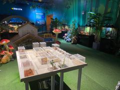 -石家庄海洋公园