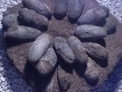 -二连浩特国家地质公园