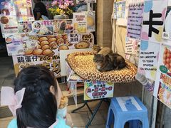 -大澳渔村及棚屋