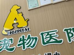 -半岛宠物医院24小时·内窥镜·牙科·碎石中心(府城大道店)