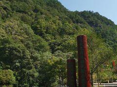 -花岩国家森林公园