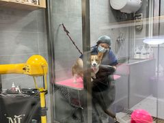 -宠福鑫康馨动物医院·骨科·眼科
