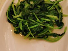 -博雅渔港·融合菜(维也纳国际大酒店)
