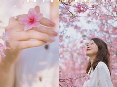 -天适樱花悠乐园