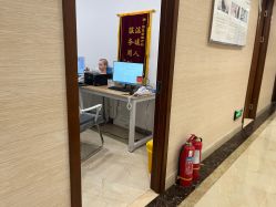 -碧莲盛·不剃发植发