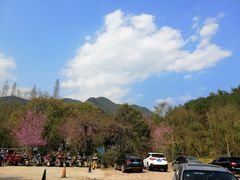 -天台山赤城山景区