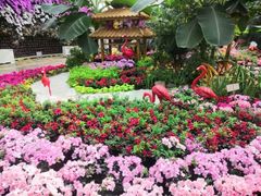 -石家庄市植物园