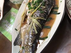 清蒸婉鱼-聂记粤菜馆(鼓西路店)