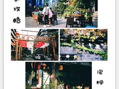 -泡桐树街