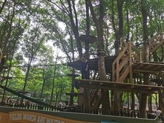 -紫金山山顶公园