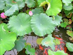 -丝绸小镇荻港古村