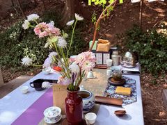 -上海佘山国家森林公园天马山园