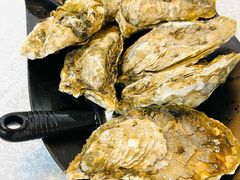 至尊桑拿蚝-天宝食坊·啫啫煲大排档(西华路店)