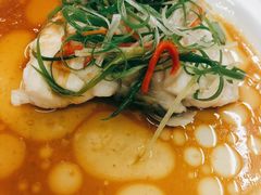 清蒸石斑鱼-宜兴隆家宴·私房菜(泰安华庭店)