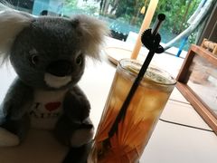 -咖法森林·咖啡  酒吧(天河店)