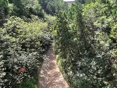 -函谷关历史文化旅游区