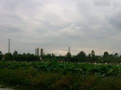 -白鹭湾湿地公园