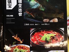 菜单-胖大姐黄辣丁鱼庄(新津店)