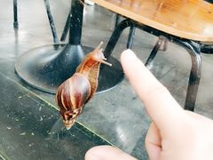 -莓园冰淇淋店