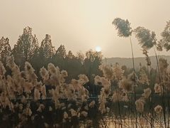 -彩虹湖公园