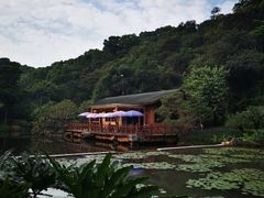 -云溪植物园