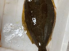 -富临港·蒸汽海鲜·手抓海鲜·炒菜(栈桥店)