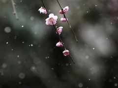 -范蠡湖公园