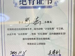 -达爱动物医院·犬猫分区·CT·复杂眼科(远洋山水分院)